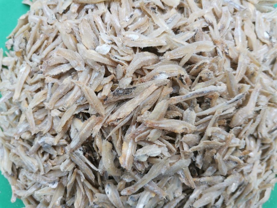 Sample Ikan Bilis Kopek Thailand – Gred A (100gm) - Image 2