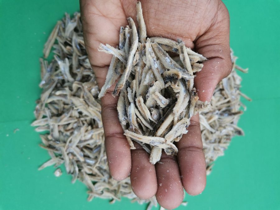 Sample Ikan Bilis Kopek Thailand - Gred B (1Kg) - Image 2