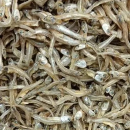 Ikan Bilis Thailand Batang Kasar (10Kg)
