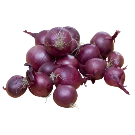Bawang Rose